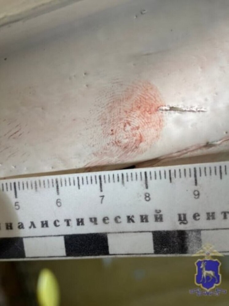 В Самарской области 25-летний мужчина украл имущество 79-летней пенсионерки