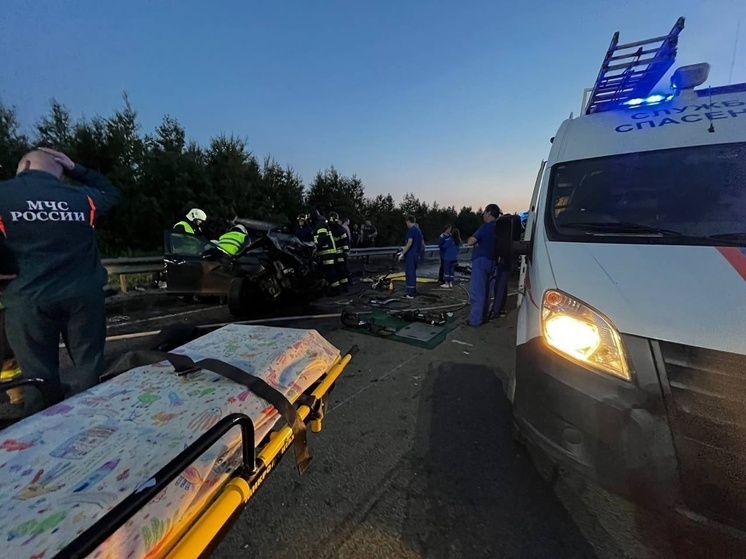 Один человек погиб в массовом ДТП на подъезде к Северодвинску