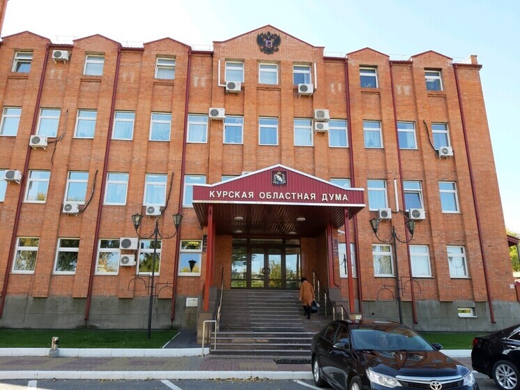 Курский депутат предложил кандидатам в губернаторы отказаться от предвыборной агитации