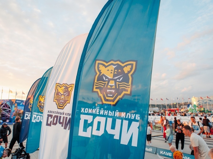 СМИ: Крикунов согласился возглавить ХК «Сочи» после отставки Козлова