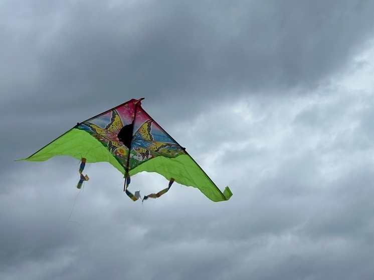 В калужском «Этномире» устроили праздник воздушных змеев