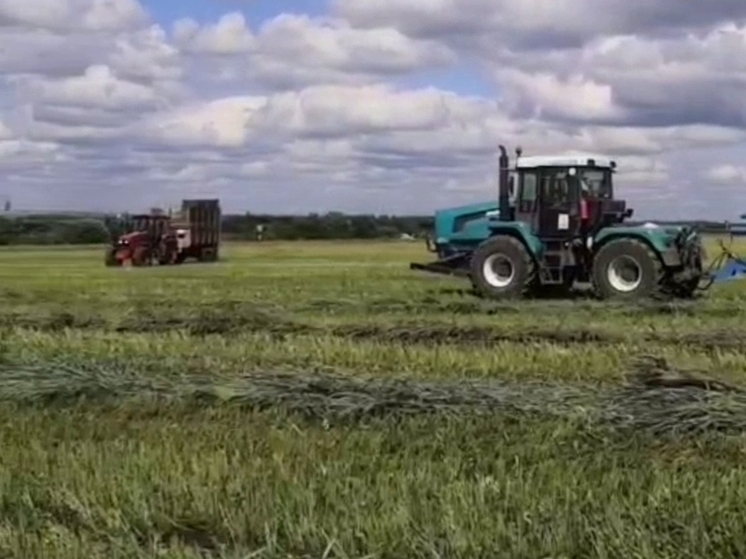 В Калужской области заготовили треть планового объёма кормов