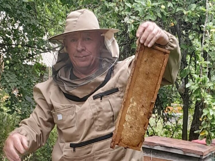 Житель Ибресинского округа заключил соцконтракт и расширил пасеку