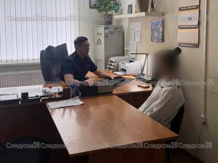 В Михайловске следователи нашли пропавшую 14-летнюю девочку