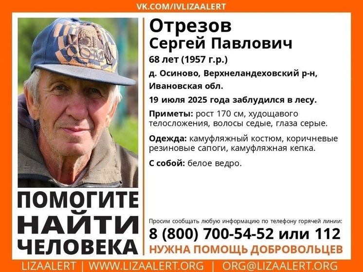 В ивановском лесу сутки назад заблудился грибник