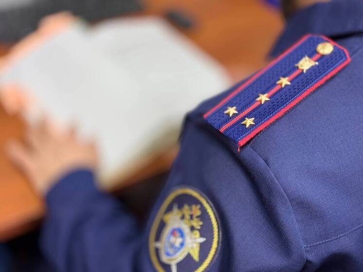 В Дагестане начали доследственную проверку после гибели 15-летней девочки