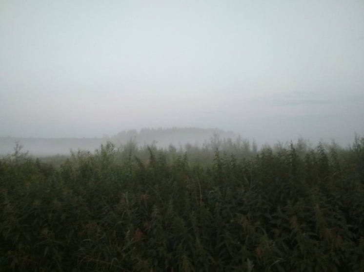 Свердловчан предупредили о неблагоприятных погодных явлениях