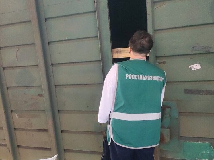 Россельхознадзор проконтролировал ввоз в Чувашию 130 тонн арахиса и солода