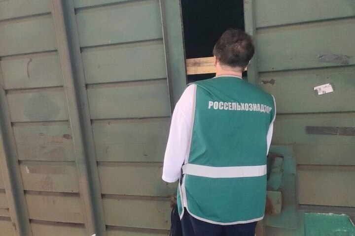 Россельхознадзор проконтролировал ввоз в Чувашию 130 тонн арахиса и солода