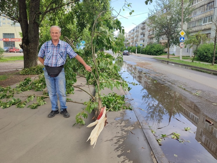 Уроженец Торопецкого округа помог тверитянке оттащить дерево с дороги