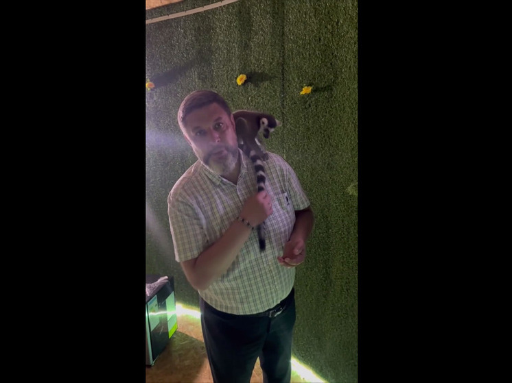 В Кировском округе Ставрополья появится контактный зоопарк с лемурами