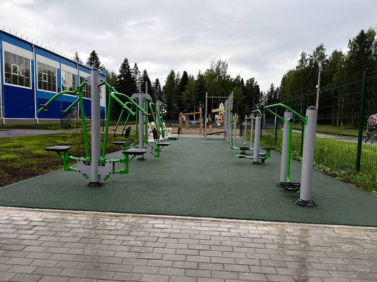 Няндома развивает спортивную инфраструктуру
