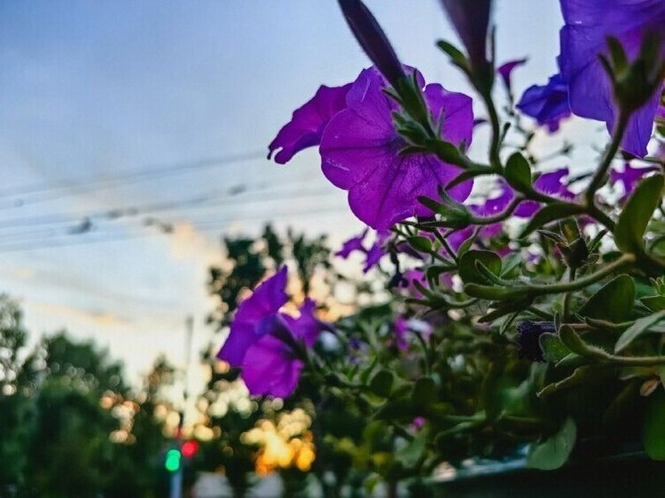 В Хабаровске сегодня умеренный ветер и слабый дождь