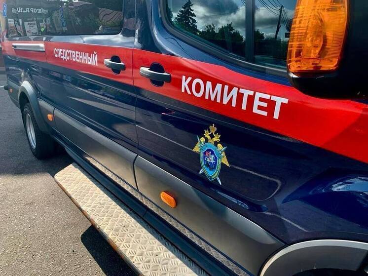 В Мохсоголлохе задержан мужчина, обвиняемый в убийстве женщины