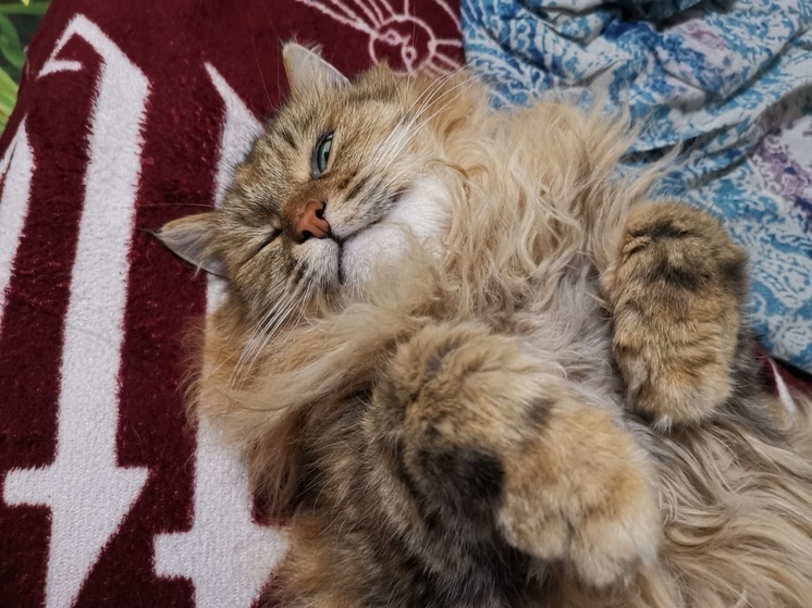 Жаркая неделя и туманные утра: Приморье на грани зноя и фронтов — погода резко изменится к пятнице