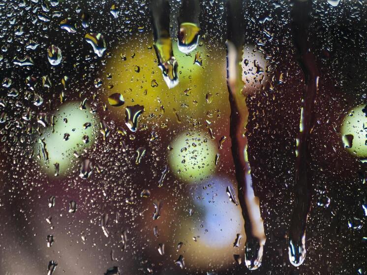 Кратковременные дожди и грозы: погода в Томске на 21 июля