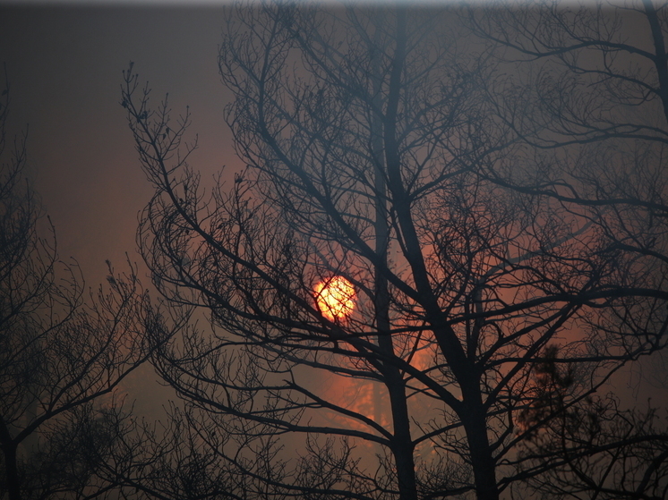 Магнитная буря 21 июля 2025 года: на Солнце установился полный штиль