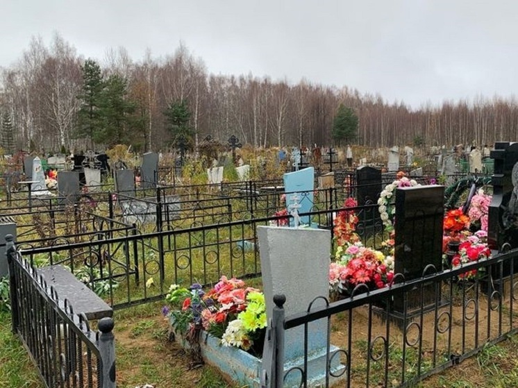 На ярославском кладбище разрушены памятники