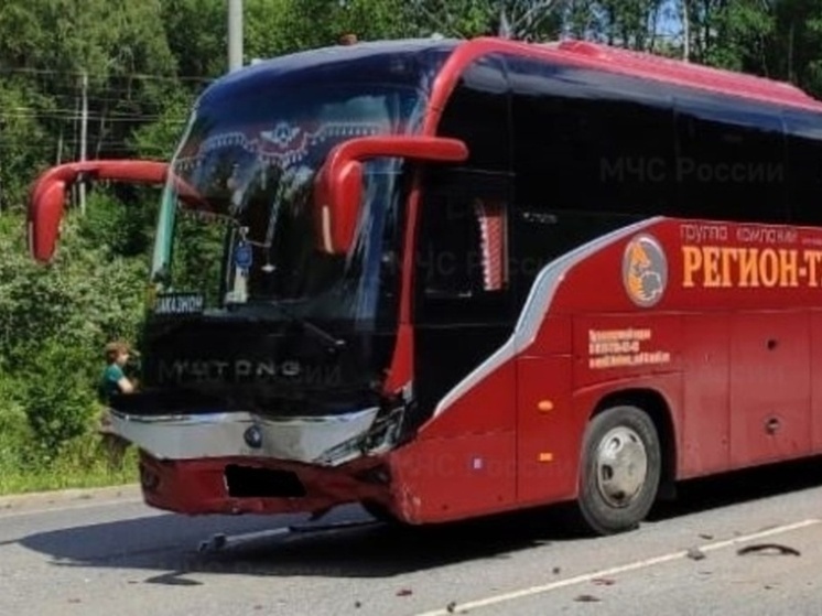 Годовалый малыш пострадал в ДТП с пассажирским автобусом под Медынью