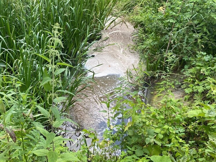 Производитель солода сбрасывает стоки в две воронежские реки
