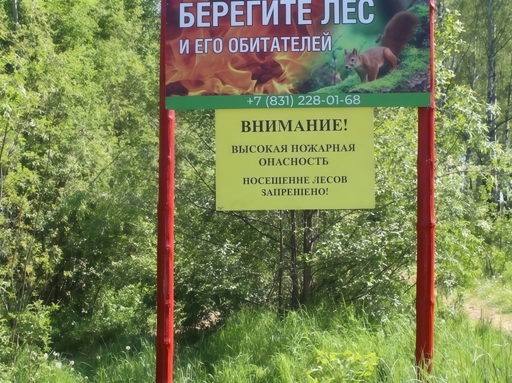 Леса в 14 районах Нижегородской области закрыты для посещения