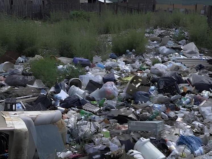 Свалки в Антипихе и Песчанке в Забайкалье пообещали убрать