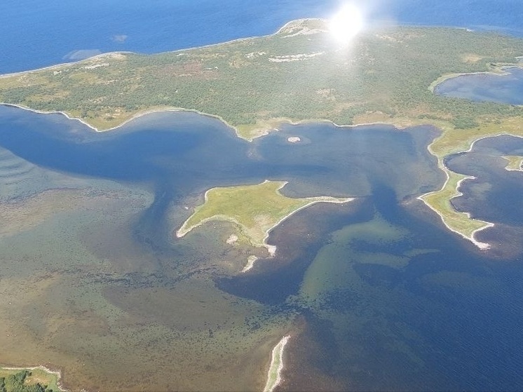 Спасатели продолжают поиски пропавших туристов в Белом море