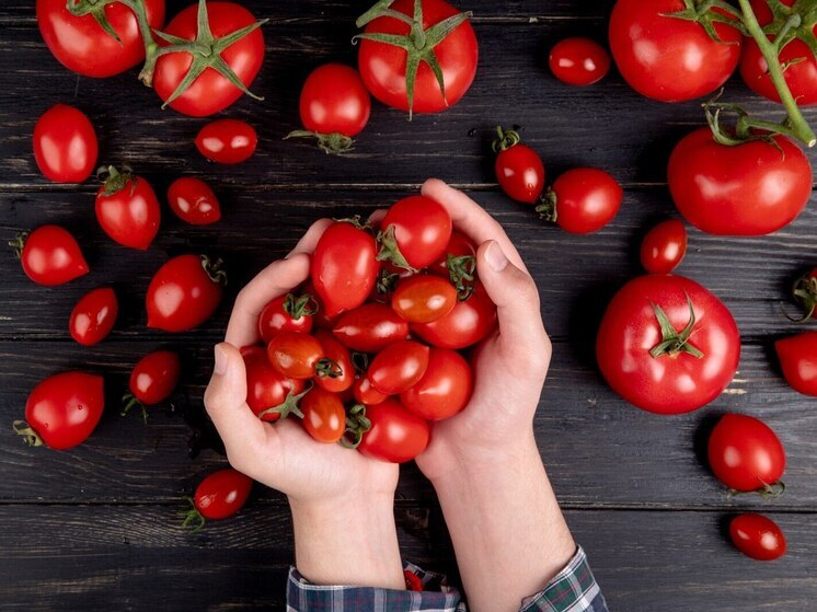 Обрываю листья у помидоров в конце июля строго по правилам: урожай созревает на 7 дней раньше