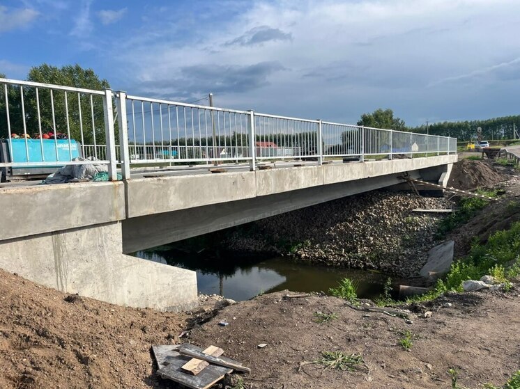 Радий Хабиров рассказал о строительстве мостов в Башкирии