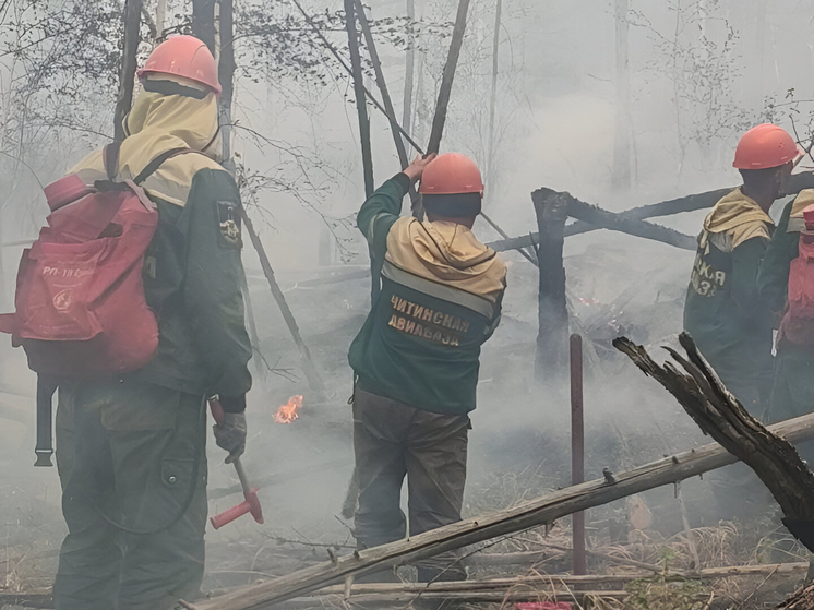 Два пожара локализовано в Забайкалье