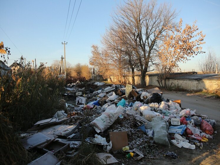 В Волгоградской области собственника обязали убрать мусор с участка