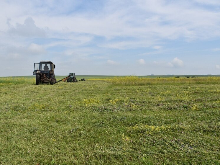 Заготовку сена ускорили в районах Хакасии