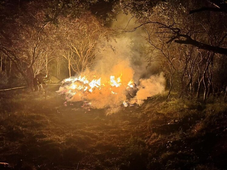 В Минераловодском округе пьяная рецидивистка спалила 300 тюков сена