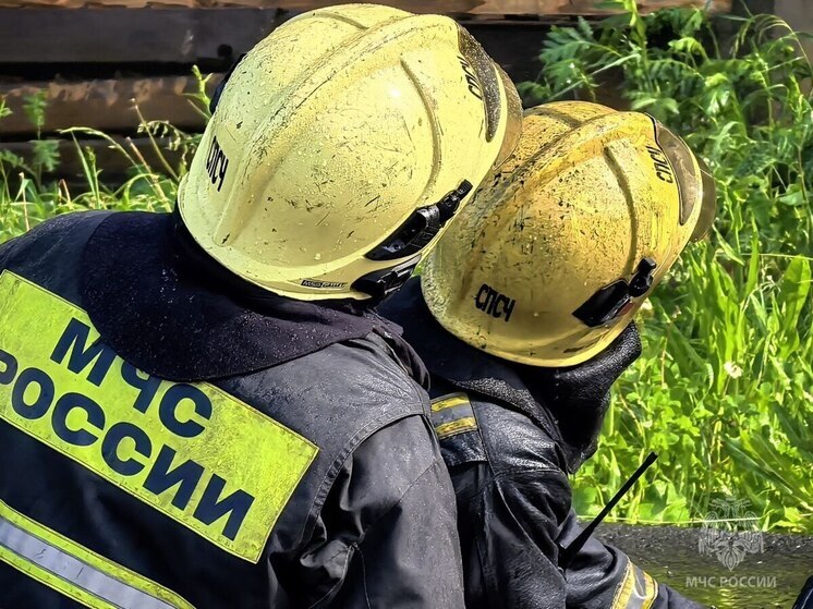 В Марий Эл за неделю произошло 18 пожаров