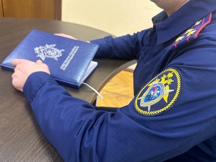 Машиниста экскаватора, раздавившего рабочего, будут судить в Кингисеппе