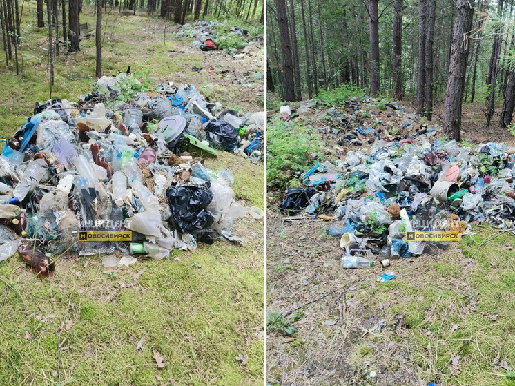 Горы мусора обнаружили в Караканском бору пол Новосибирском