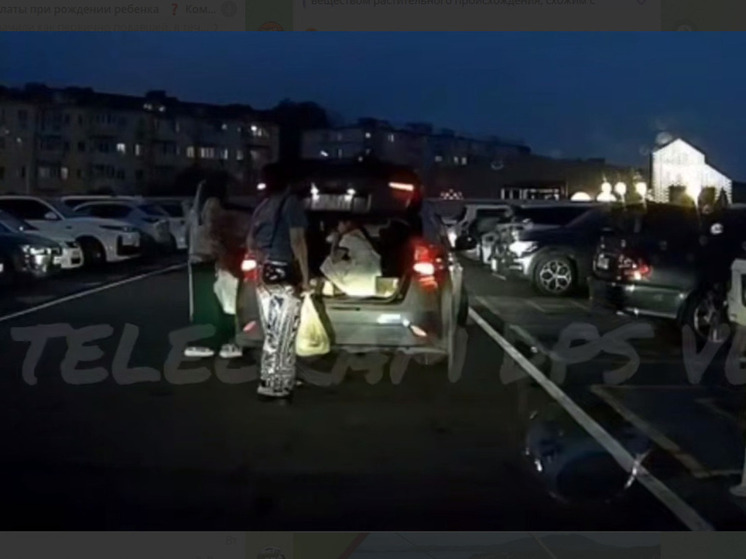 Ребенка посадили в багажник: полиция проверяет возмутительное видео из Владивостока