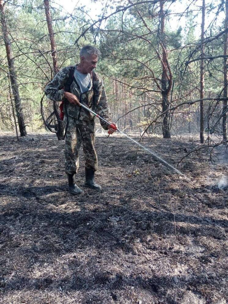 Лесники Чувашии помогли Ульяновской области потушить крупный пожар
