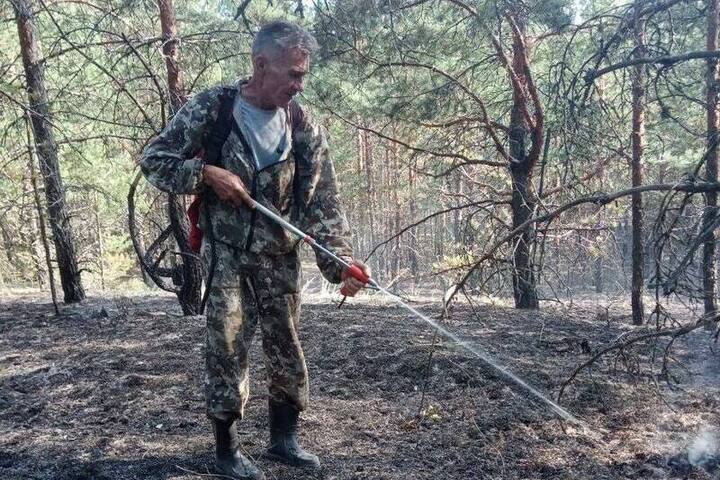 Сотрудники кировской «Лесоохраны» помогли в тушении лесных пожаров в Бурятии