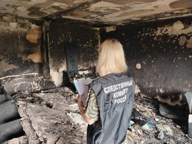 В Великих Луках проходит проверка по факту взрыва газа в жилом доме