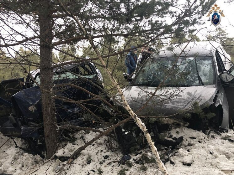 В Катав-Ивановском районе осужден виновник ДТП, где погибла семья с детьми