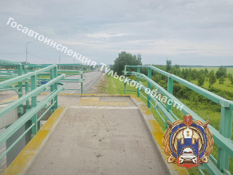 После катания по пандусу перехода на питбайке туляку потребовалась скорая