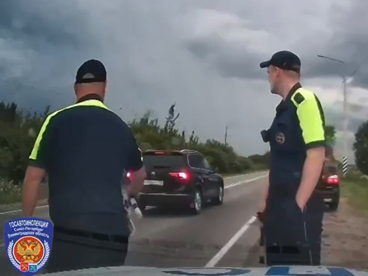В Тосненском районе пьяный водитель пытался уйти от преследования полиции