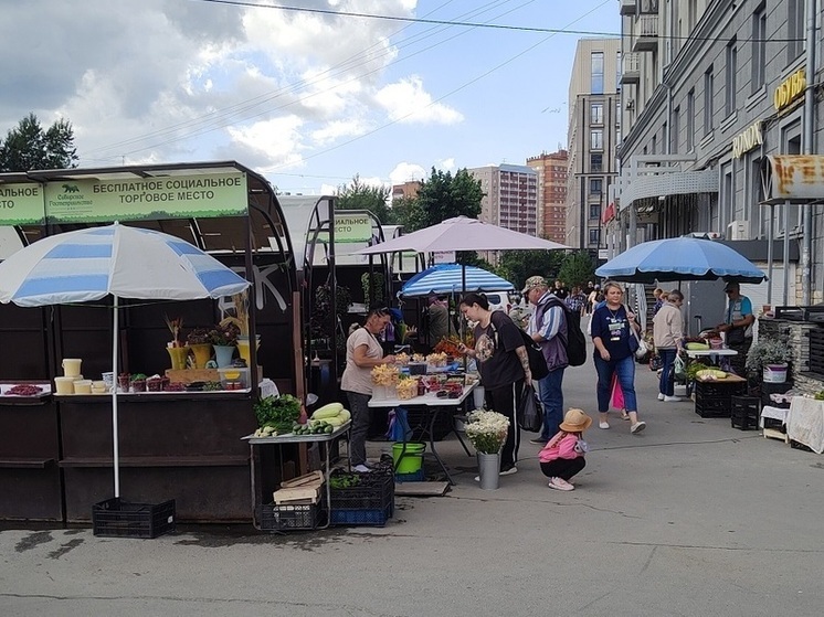 В Новосибирске выросли цены на чёрную смородину