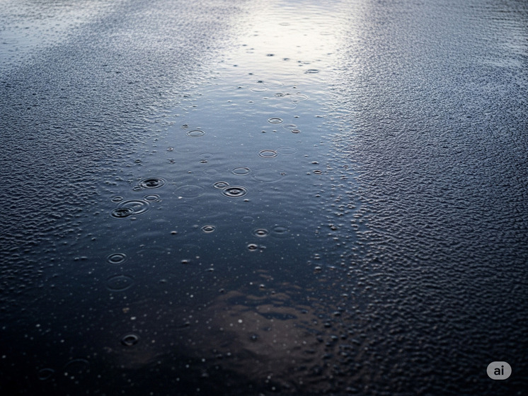 Радий Хабиров потребовал восстановить дорогу в Бирске, которую смыло дождями