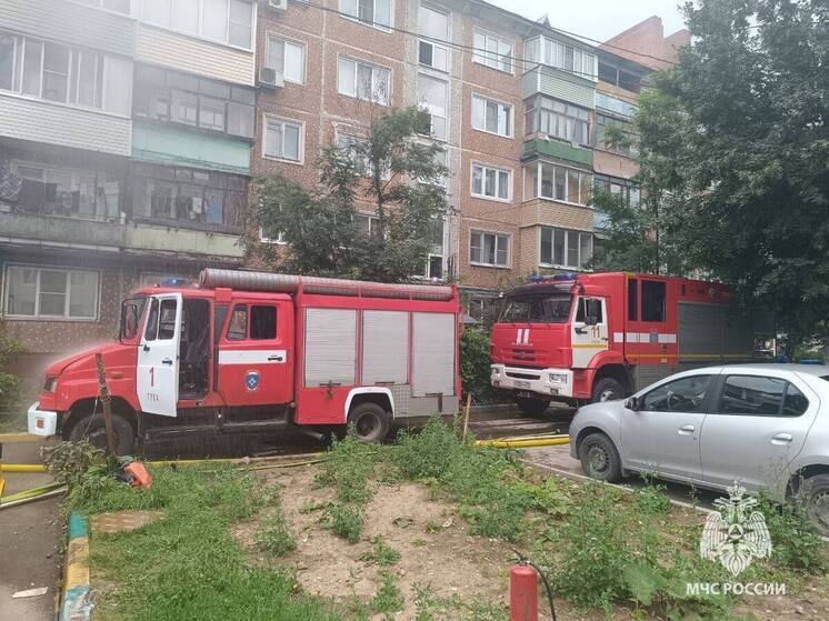 В Тульской области за неделю зарегистрировано 20 пожаров, двое утонувших