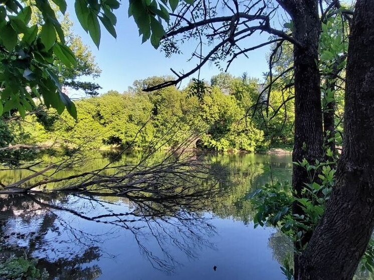 В ДНР начались работы по обеспечению свободного потока воды к водохранилищу