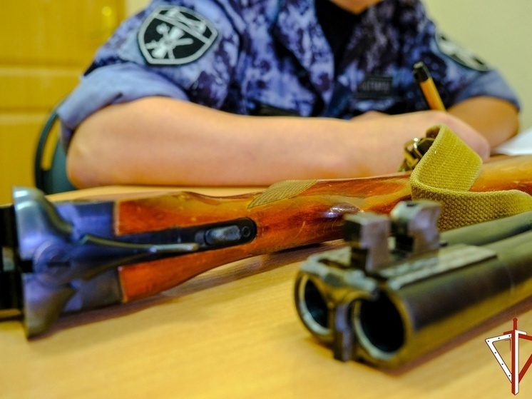 Жители Марий Эл добровольно сдали 11 единиц оружия