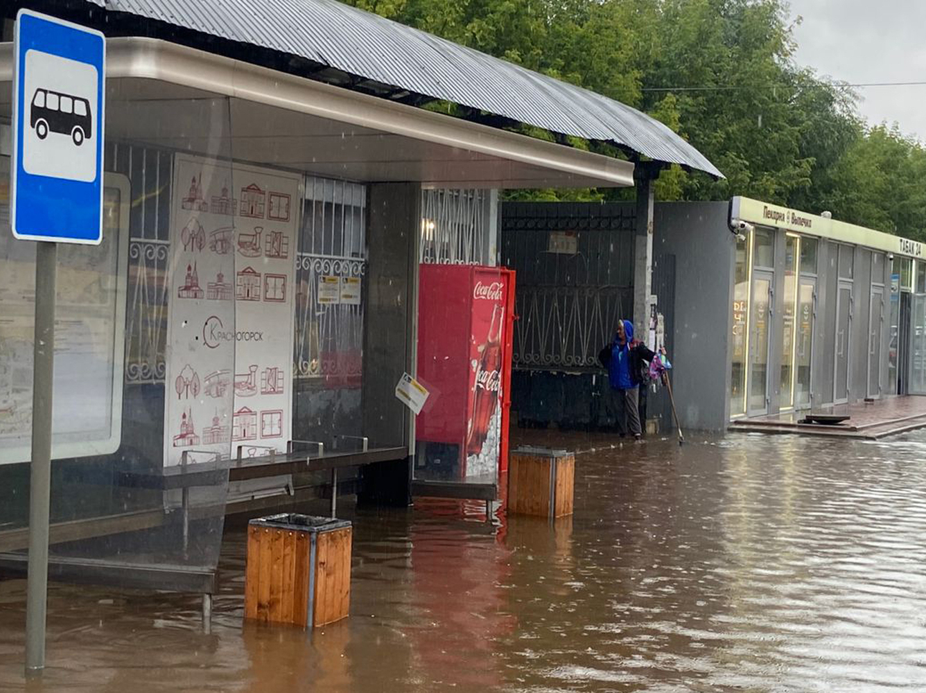 Inundación en Krasnogorsk, foto 4