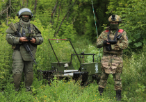 Инженерные подразделения группировки «Север» активно применяют робототехнические комплексы для разминирования приграничных районов Курской области